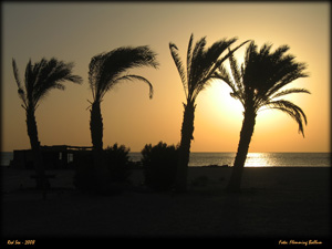egypt 2008